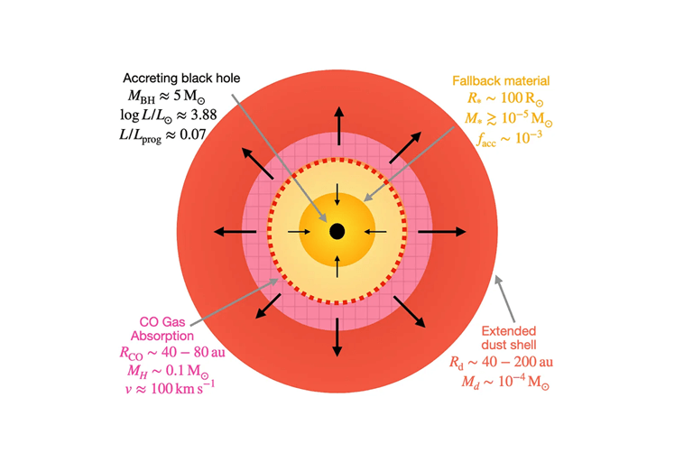 Black Hole Formation from a Disappearing Star in the Andromeda Galaxy