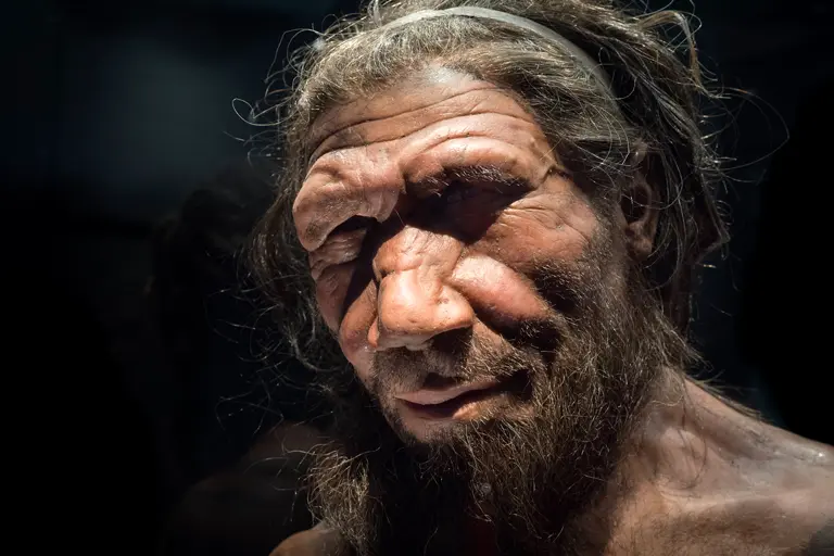 Pegadas de Neandertais descobertas em Portugal