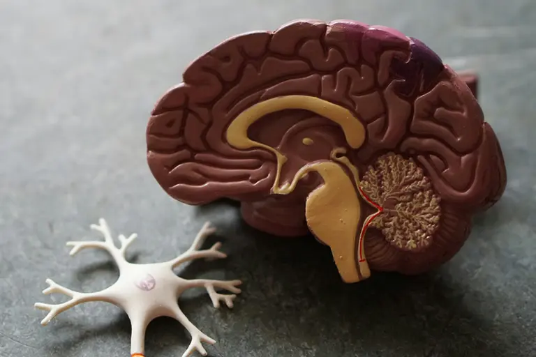 Nanotecnologia: reprogramar o cérebro para “Limpar” o Alzheimer
