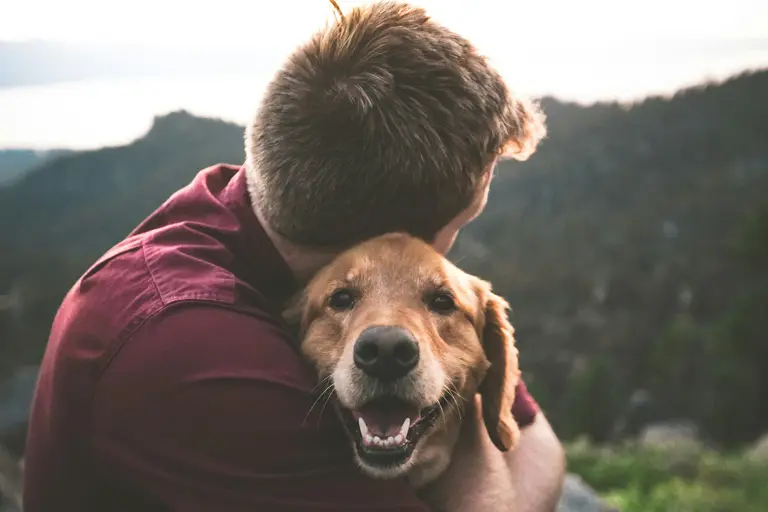 Humano e cão, foto de Eric Ward na Unsplash