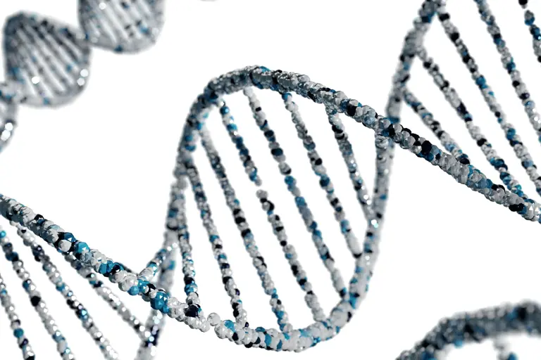 Quando o excesso de RNA interfere com a produção de energia das células